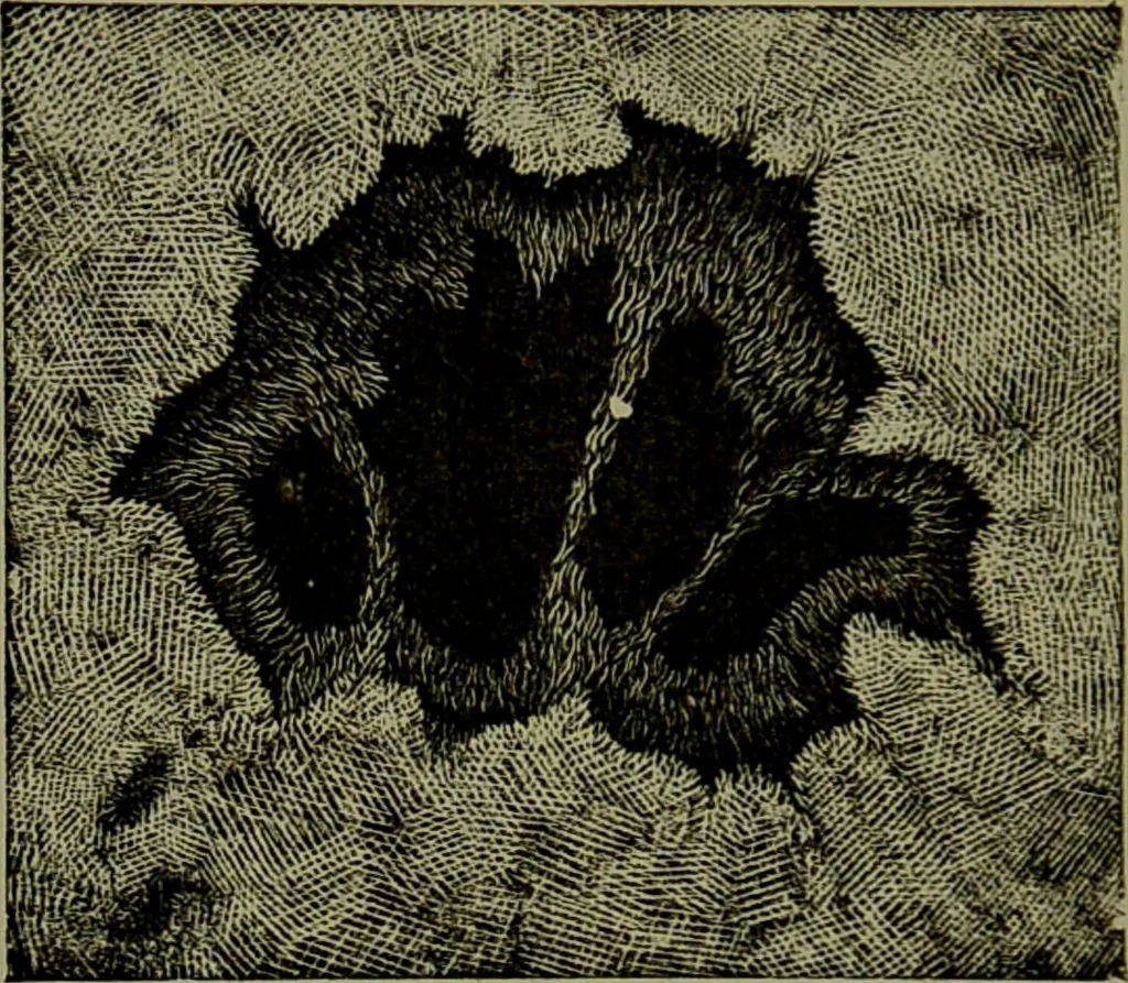 An illustration from Spectrum analysis in its application to terrestrial substances, and the physical constitution of the heavenly bodies / familiarly explained by H. Schellen ; translated from the second enlarged and revised German edition by Jane and Caroline Lassell ; edited with notes by William Huggins ; with numerous woodcuts and coloured plates, and Ångström's and Kirchhoff's maps., 1872, leaf 318