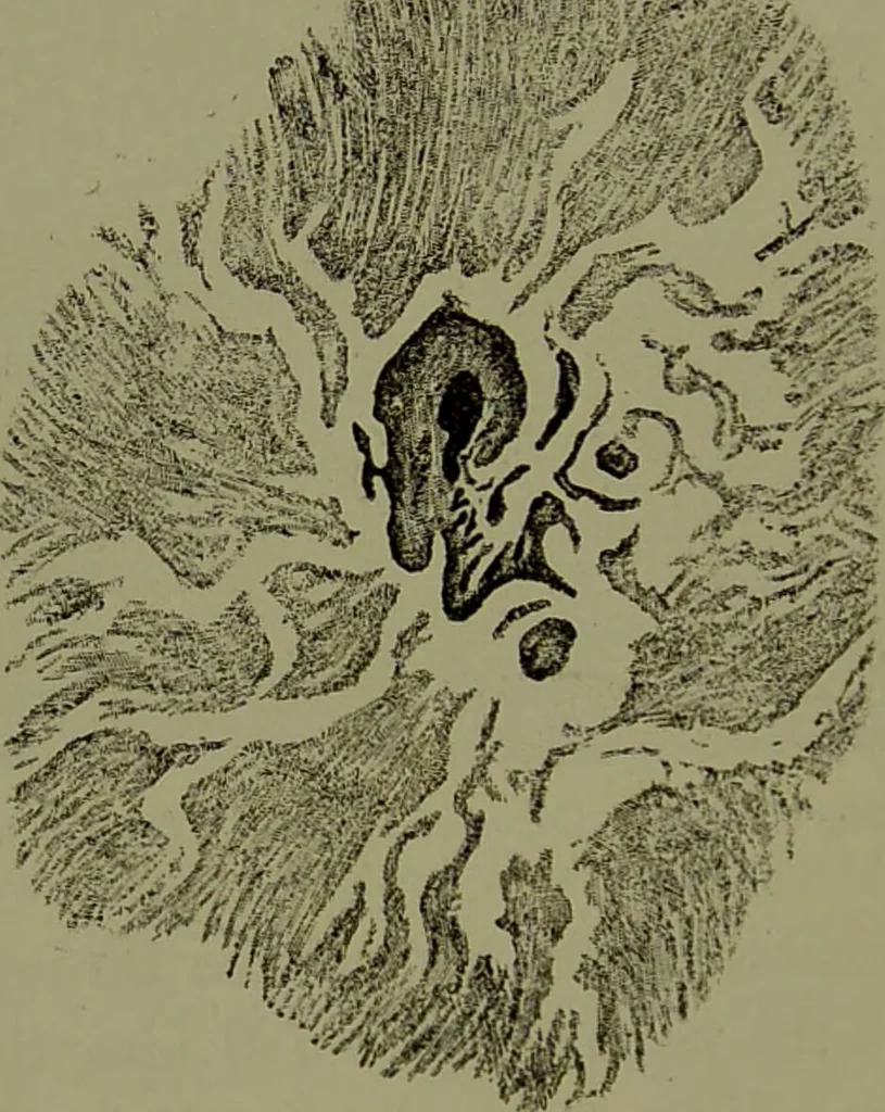 An illustration from Spectrum analysis in its application to terrestrial substances, and the physical constitution of the heavenly bodies / familiarly explained by H. Schellen ; translated from the second enlarged and revised German edition by Jane and Caroline Lassell ; edited with notes by William Huggins ; with numerous woodcuts and coloured plates, and Ångström's and Kirchhoff's maps., 1872, leaf 320