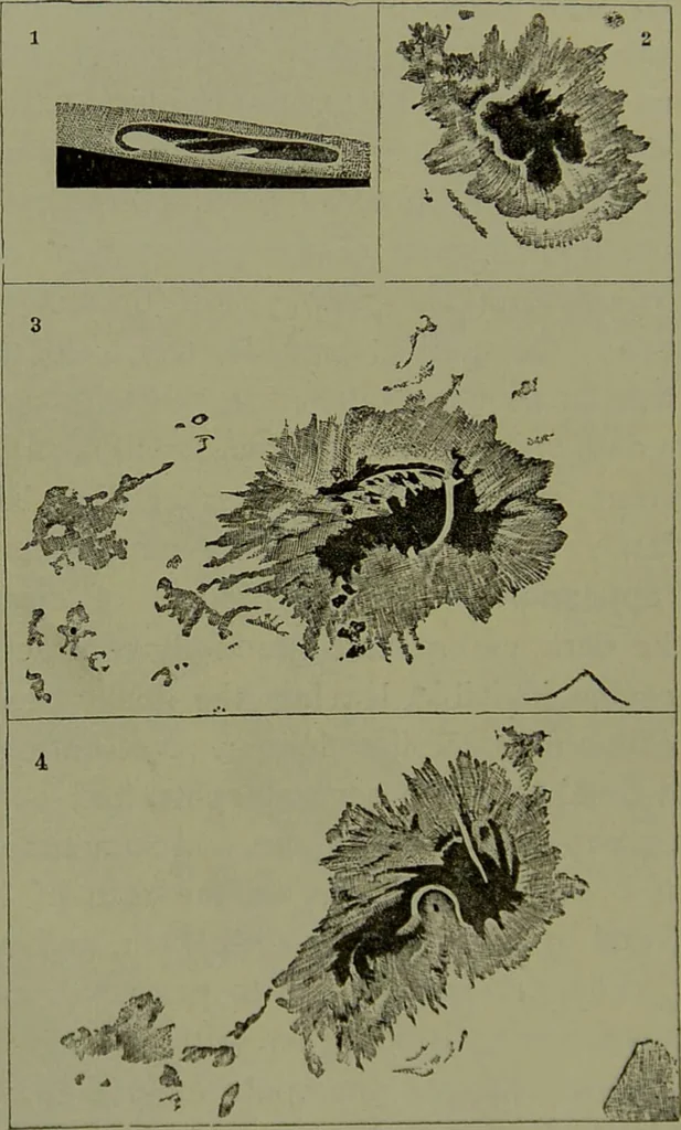 An illustration from Spectrum analysis in its application to terrestrial substances, and the physical constitution of the heavenly bodies / familiarly explained by H. Schellen ; translated from the second enlarged and revised German edition by Jane and Caroline Lassell ; edited with notes by William Huggins ; with numerous woodcuts and coloured plates, and Ångström's and Kirchhoff's maps., 1872, leaf 324