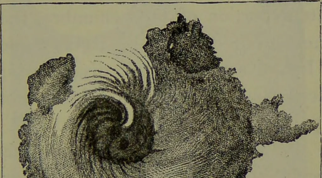 An illustration from Spectrum analysis in its application to terrestrial substances, and the physical constitution of the heavenly bodies / familiarly explained by H. Schellen ; translated from the second enlarged and revised German edition by Jane and Caroline Lassell ; edited with notes by William Huggins ; with numerous woodcuts and coloured plates, and Ångström's and Kirchhoff's maps., 1872, leaf 329