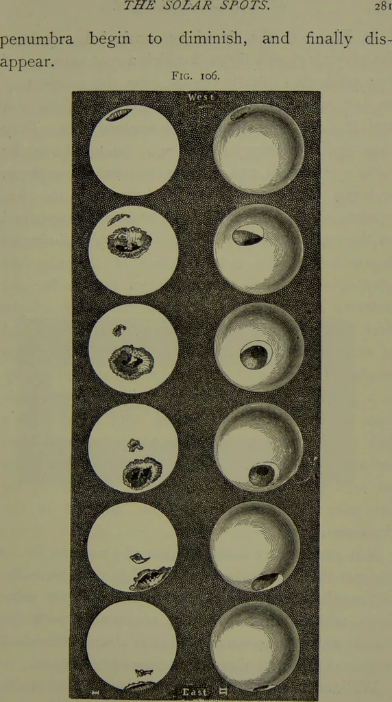 An illustration from Spectrum analysis in its application to terrestrial substances, and the physical constitution of the heavenly bodies / familiarly explained by H. Schellen ; translated from the second enlarged and revised German edition by Jane and Caroline Lassell ; edited with notes by William Huggins ; with numerous woodcuts and coloured plates, and Ångström's and Kirchhoff's maps., 1872, leaf 331
