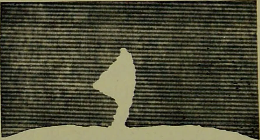 An illustration from Spectrum analysis in its application to terrestrial substances, and the physical constitution of the heavenly bodies / familiarly explained by H. Schellen ; translated from the second enlarged and revised German edition by Jane and Caroline Lassell ; edited with notes by William Huggins ; with numerous woodcuts and coloured plates, and Ångström's and Kirchhoff's maps., 1872, leaf 488