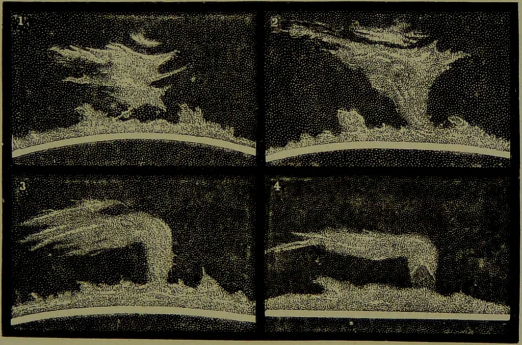 An illustration from Spectrum analysis in its application to terrestrial substances, and the physical constitution of the heavenly bodies / familiarly explained by H. Schellen ; translated from the second enlarged and revised German edition by Jane and Caroline Lassell ; edited with notes by William Huggins ; with numerous woodcuts and coloured plates, and Ångström's and Kirchhoff's maps., 1872, leaf 501
