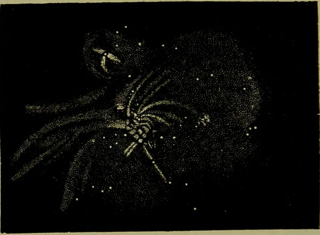 An illustration from Spectrum analysis in its application to terrestrial substances, and the physical constitution of the heavenly bodies / familiarly explained by H. Schellen ; translated from the second enlarged and revised German edition by Jane and Caroline Lassell ; edited with notes by William Huggins ; with numerous woodcuts and coloured plates, and Ångström's and Kirchhoff's maps., 1872, leaf 606