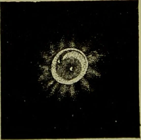 An illustration from Spectrum analysis in its application to terrestrial substances, and the physical constitution of the heavenly bodies / familiarly explained by H. Schellen ; translated from the second enlarged and revised German edition by Jane and Caroline Lassell ; edited with notes by William Huggins ; with numerous woodcuts and coloured plates, and Ångström's and Kirchhoff's maps., 1872, leaf 616