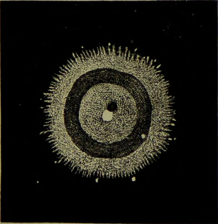 An illustration from Spectrum analysis in its application to terrestrial substances, and the physical constitution of the heavenly bodies / familiarly explained by H. Schellen ; translated from the second enlarged and revised German edition by Jane and Caroline Lassell ; edited with notes by William Huggins ; with numerous woodcuts and coloured plates, and Ångström's and Kirchhoff's maps., 1872, leaf 625