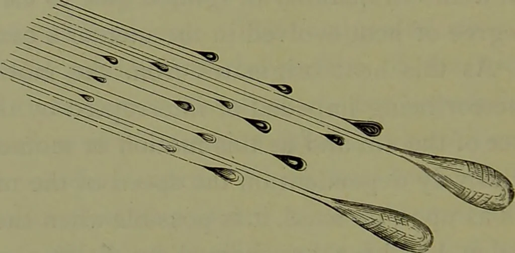 An illustration from Spectrum analysis in its application to terrestrial substances, and the physical constitution of the heavenly bodies / familiarly explained by H. Schellen ; translated from the second enlarged and revised German edition by Jane and Caroline Lassell ; edited with notes by William Huggins ; with numerous woodcuts and coloured plates, and Ångström's and Kirchhoff's maps., 1872, leaf 660