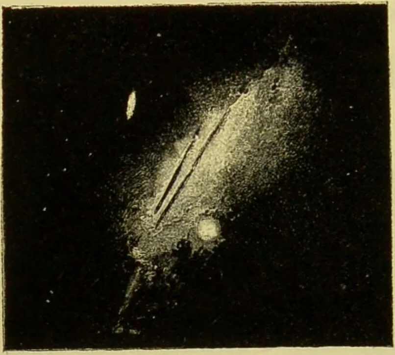 An illustration from Spectrum analysis : six lectures, delivered in 1868, before the Society of Apothecaries of London / by Henry E. Roscoe ; with appendices, coloured plates, and illustrations., 1869, leaf 289