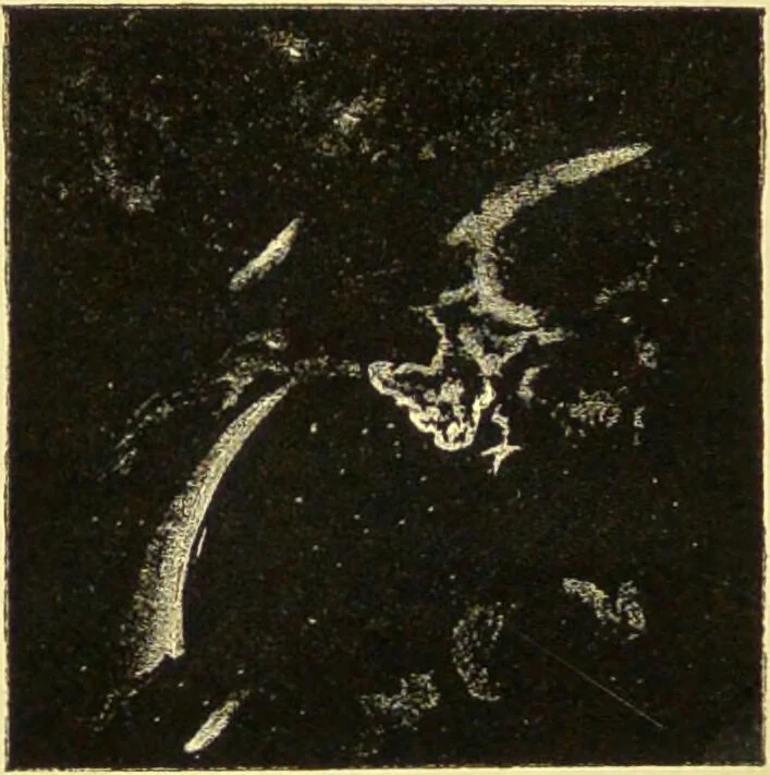 An illustration from Spectrum analysis : six lectures, delivered in 1868, before the Society of Apothecaries of London / by Henry E. Roscoe ; with appendices, coloured plates, and illustrations., 1869, leaf 292