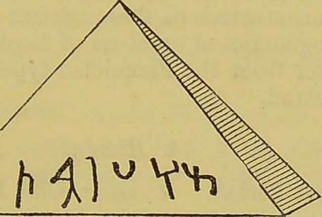 An illustration from Thesaurus craniorum : catalogue of the skulls of the various races of man, in the collection of Joseph Barnard Davis., 1867, leaf 109