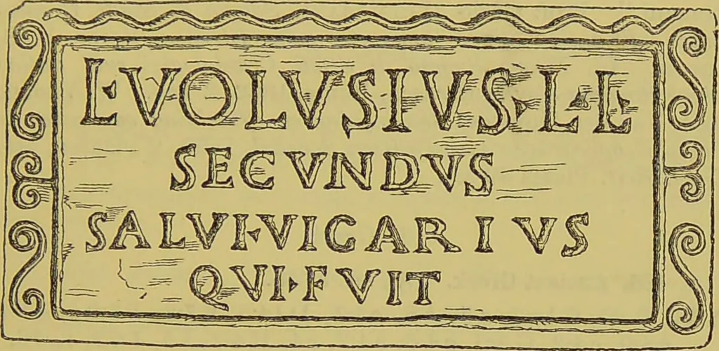 An illustration from Thesaurus craniorum : catalogue of the skulls of the various races of man, in the collection of Joseph Barnard Davis., 1867, leaf 113
