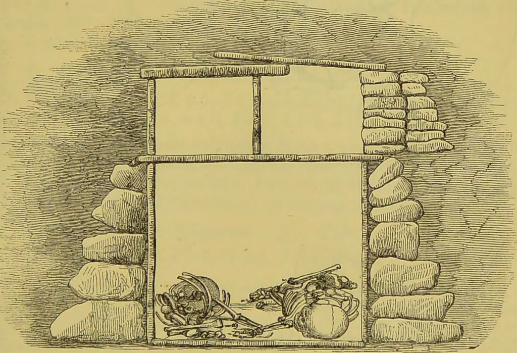 An illustration from Thesaurus craniorum : catalogue of the skulls of the various races of man, in the collection of Joseph Barnard Davis., 1867, leaf 33