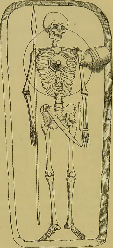 An illustration from Thesaurus craniorum : catalogue of the skulls of the various races of man, in the collection of Joseph Barnard Davis., 1867, leaf 50