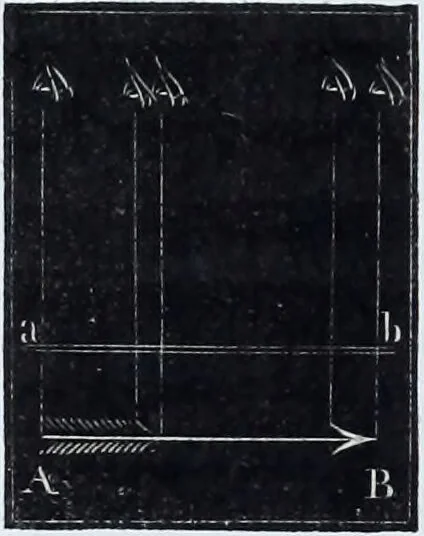 An illustration from Zur Morphologie der Rassen-Schädel : einleitende Bemerkungen und Beiträge, ein Sendschreiben an ... Carl Ernst v. Baer / von Joh. Christ. Gustav Lucae., 1861, leaf 16