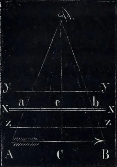 An illustration from Zur Morphologie der Rassen-Schädel : einleitende Bemerkungen und Beiträge, ein Sendschreiben an ... Carl Ernst v. Baer / von Joh. Christ. Gustav Lucae., 1861, leaf 17