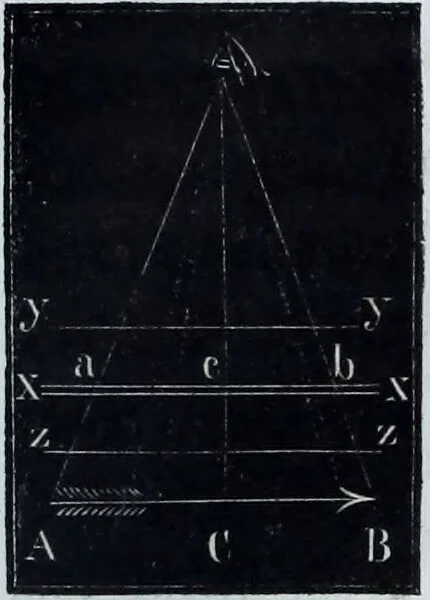 An illustration from Zur Morphologie der Rassen-Schädel : einleitende Bemerkungen und Beiträge, ein Sendschreiben an ... Carl Ernst v. Baer / von Joh. Christ. Gustav Lucae., 1861, leaf 17