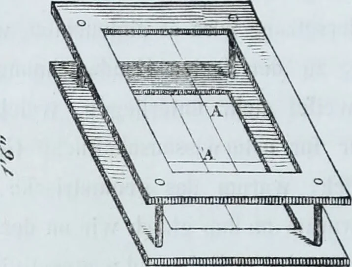 An illustration from Zur Morphologie der Rassen-Schädel : einleitende Bemerkungen und Beiträge, ein Sendschreiben an ... Carl Ernst v. Baer / von Joh. Christ. Gustav Lucae., 1861, leaf 20