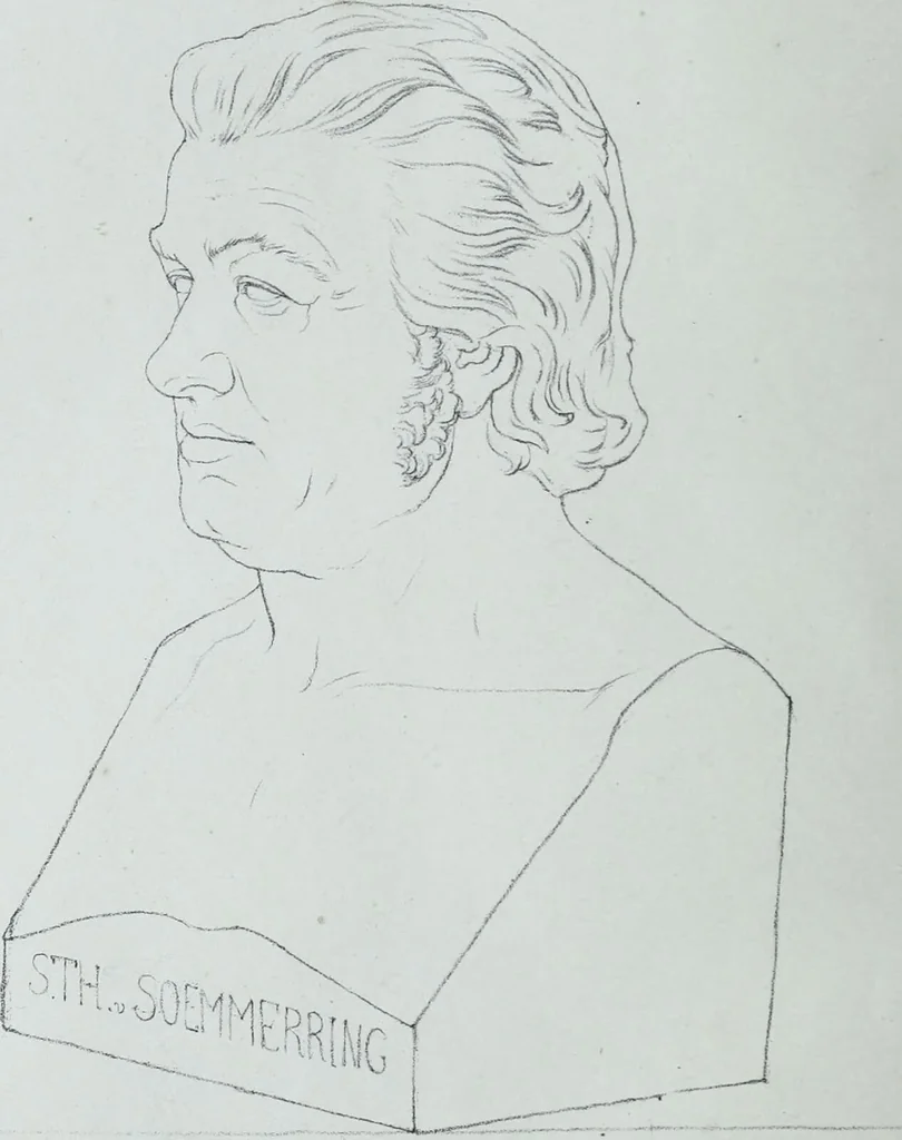 An illustration from Zur Morphologie der Rassen-Schädel : einleitende Bemerkungen und Beiträge, ein Sendschreiben an ... Carl Ernst v. Baer / von Joh. Christ. Gustav Lucae., 1861, leaf 202