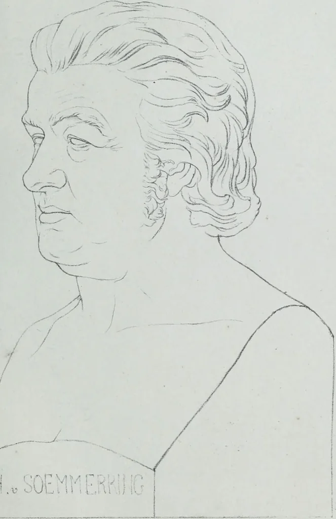 An illustration from Zur Morphologie der Rassen-Schädel : einleitende Bemerkungen und Beiträge, ein Sendschreiben an ... Carl Ernst v. Baer / von Joh. Christ. Gustav Lucae., 1861, leaf 203