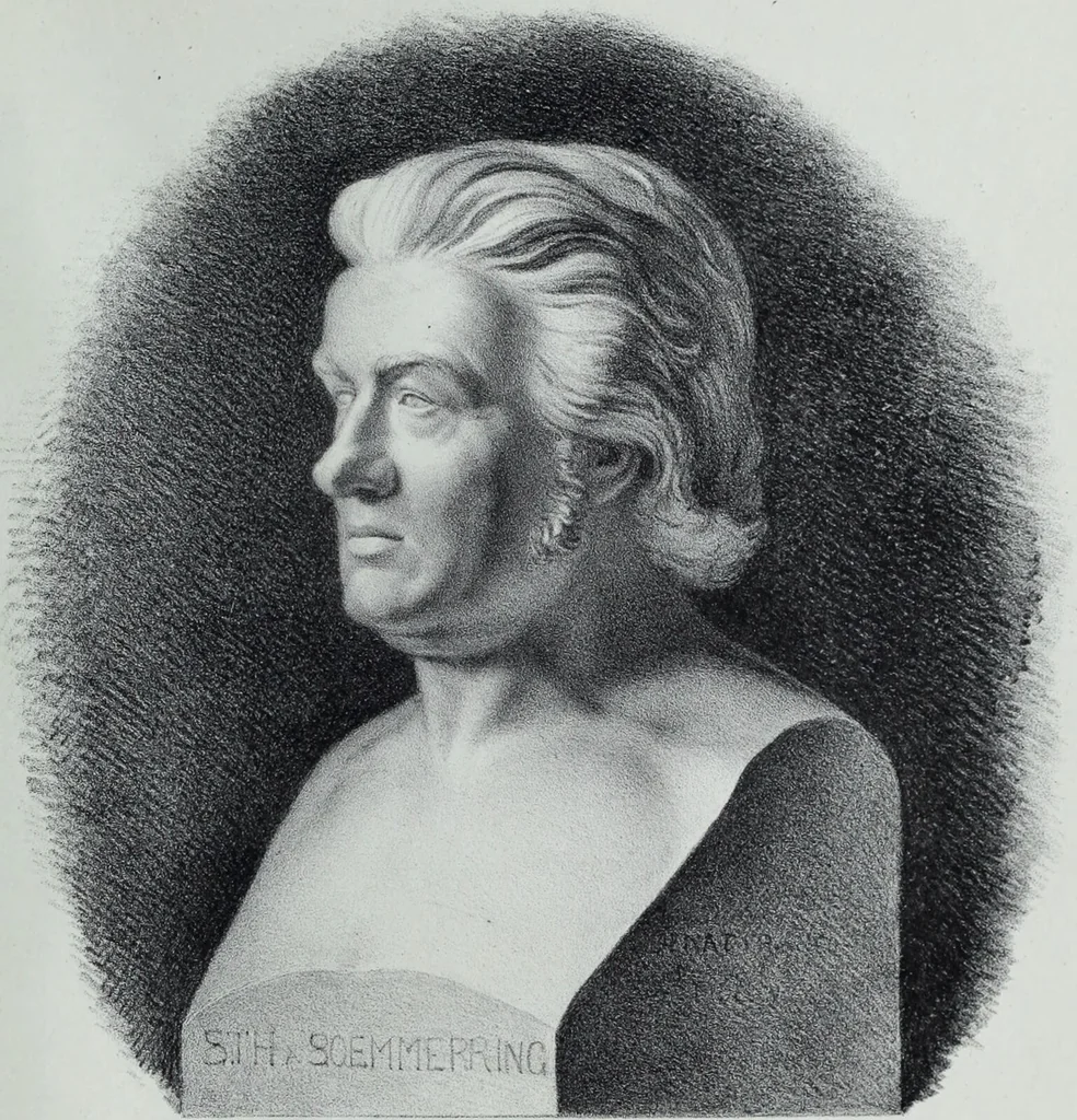 An illustration from Zur Morphologie der Rassen-Schädel : einleitende Bemerkungen und Beiträge, ein Sendschreiben an ... Carl Ernst v. Baer / von Joh. Christ. Gustav Lucae., 1861, leaf 205