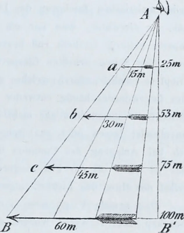 An illustration from Zur Morphologie der Rassen-Schädel : einleitende Bemerkungen und Beiträge, ein Sendschreiben an ... Carl Ernst v. Baer / von Joh. Christ. Gustav Lucae., 1861, leaf 69