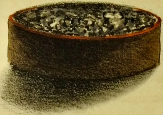 An illustration from Medical zoology and mineralogy. Or, Illustrations and descriptions of the animals and minerals employed in medicine, and of the preparations derived from them; including also an account of animal and mineral poisons, with figures coloured from nature / [John Stephenson]., 1832, leaf 292