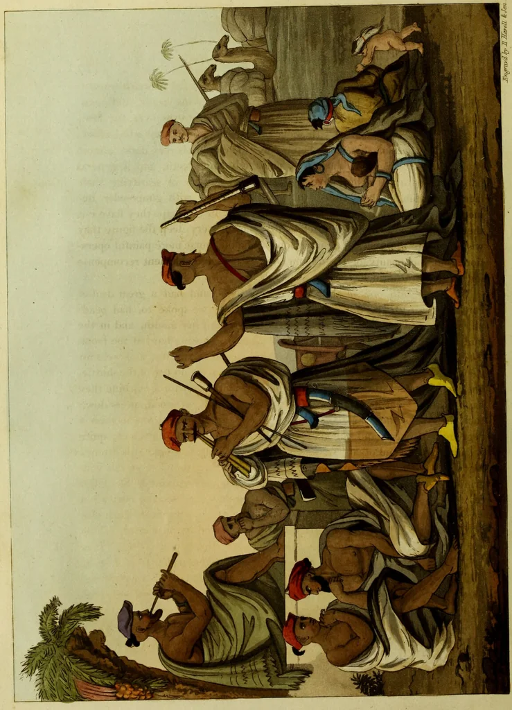 An illustration from Narrative of a ten years' residence at Tripoli in Africa: from the original correspondence in the possession of the family of the late Richard Tully, Esq., the British consul. Comprising authentic memoirs and anecdotes of the reigning bashaw, his family, and other persons of distinction; also, an account of the domestic manners of the Moors, Arabs, and Turks / Illustrated with a map and several coloured plates., 1816, leaf 50