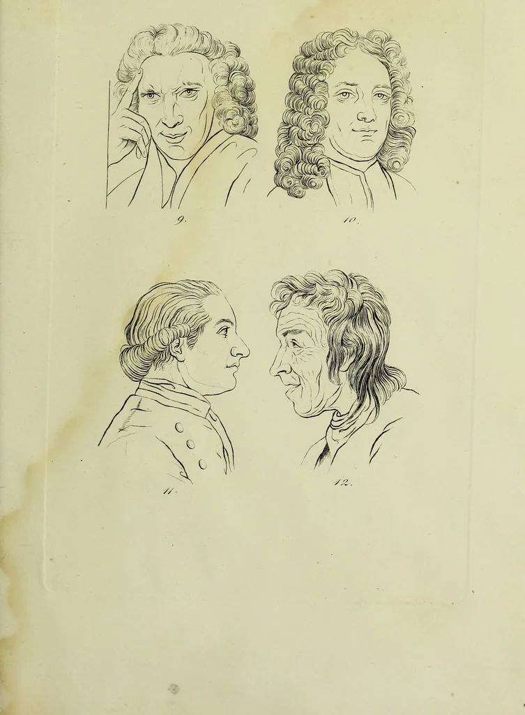 An illustration from La physiognomonie, ou l'art de connaître les hommes d'après les traits de leur physionomie, leurs rupports avec les divers animaux, leur penchans. ... / Lavater., 1841, leaf 321