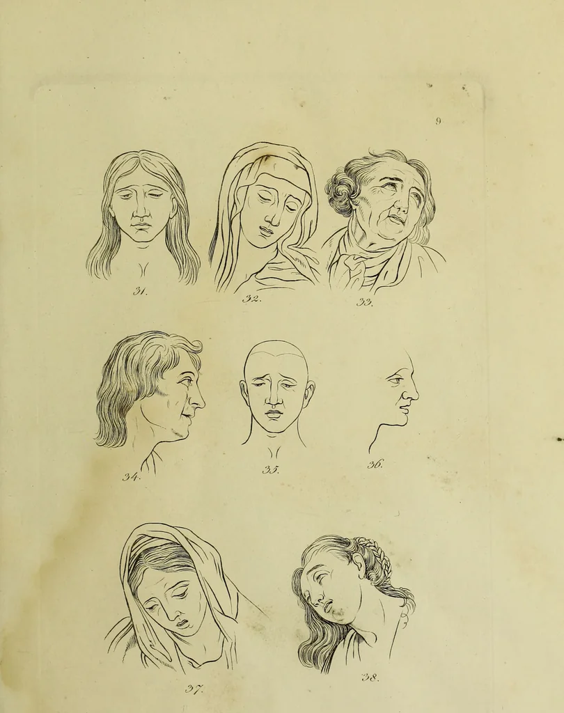 An illustration from La physiognomonie, ou l'art de connaître les hommes d'après les traits de leur physionomie, leurs rupports avec les divers animaux, leur penchans. ... / Lavater., 1841, leaf 331