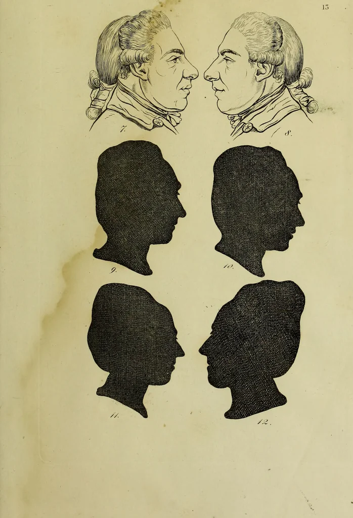 An illustration from La physiognomonie, ou l'art de connaître les hommes d'après les traits de leur physionomie, leurs rupports avec les divers animaux, leur penchans. ... / Lavater., 1841, leaf 339