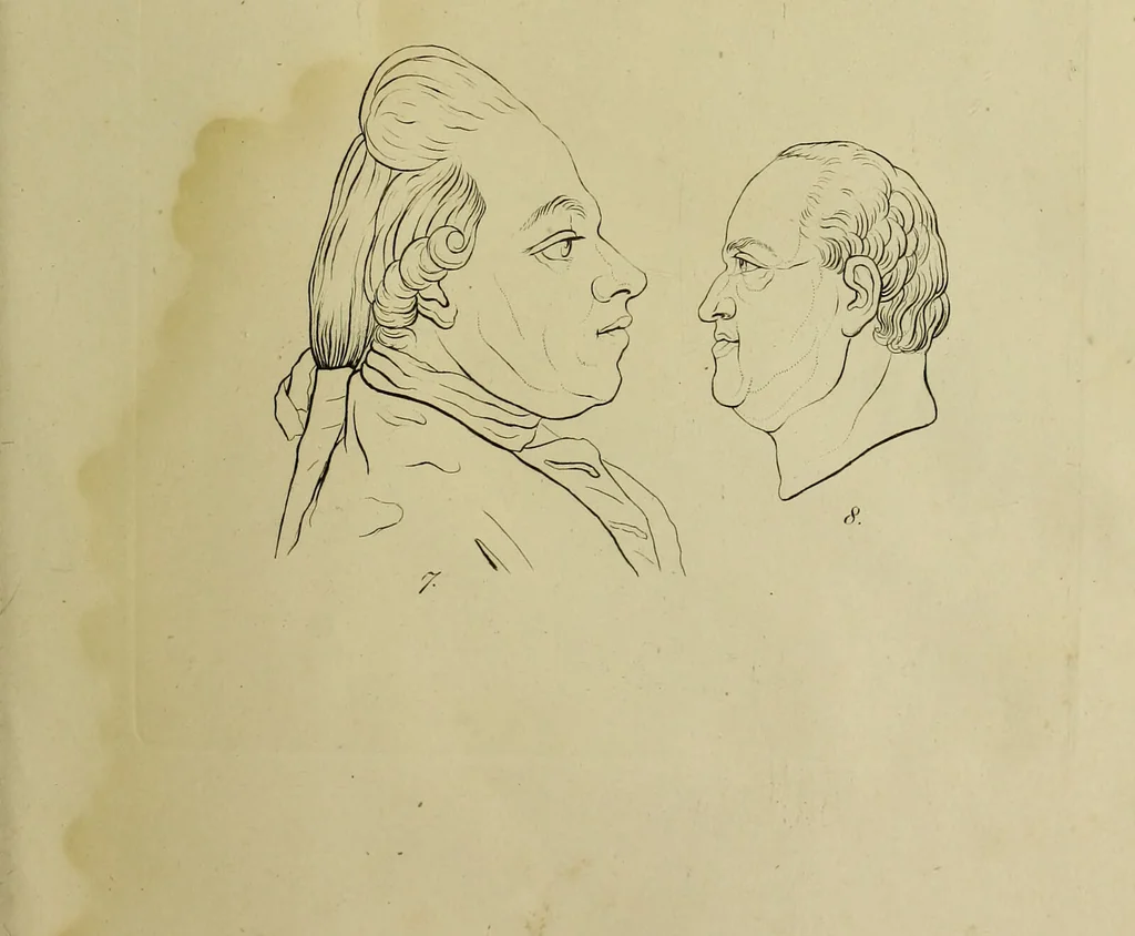 An illustration from La physiognomonie, ou l'art de connaître les hommes d'après les traits de leur physionomie, leurs rupports avec les divers animaux, leur penchans. ... / Lavater., 1841, leaf 347