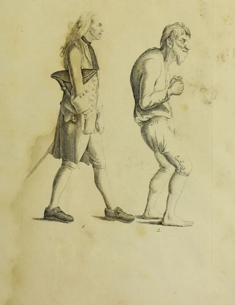 An illustration from La physiognomonie, ou l'art de connaître les hommes d'après les traits de leur physionomie, leurs rupports avec les divers animaux, leur penchans. ... / Lavater., 1841, leaf 353