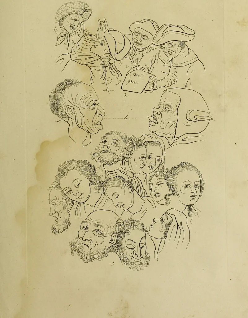 An illustration from La physiognomonie, ou l'art de connaître les hommes d'après les traits de leur physionomie, leurs rupports avec les divers animaux, leur penchans. ... / Lavater., 1841, leaf 355