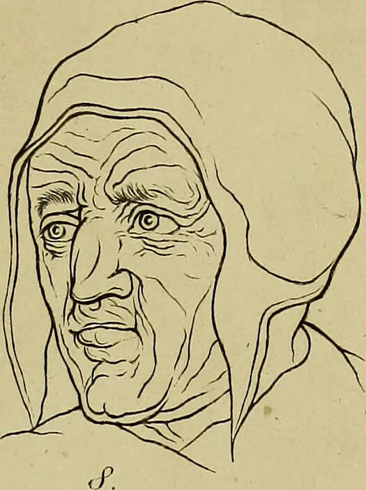 An illustration from La physiognomonie, ou l'art de connaître les hommes d'après les traits de leur physionomie, leurs rupports avec les divers animaux, leur penchans. ... / Lavater., 1841, leaf 357