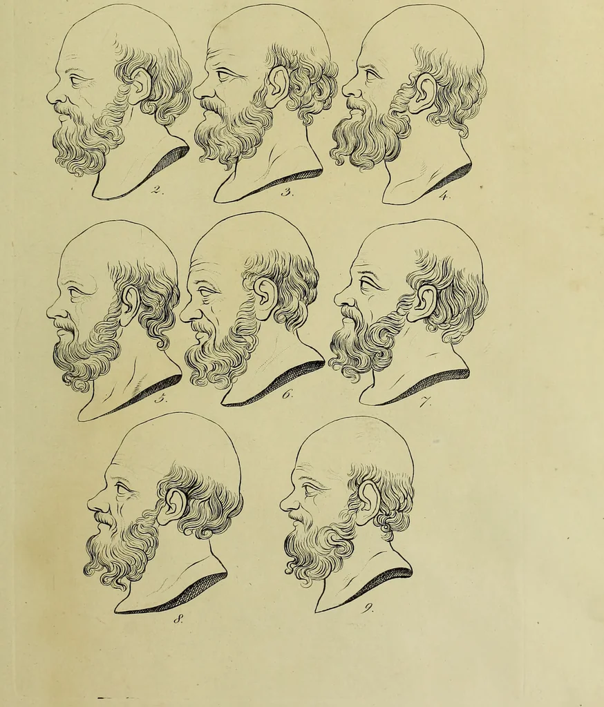 An illustration from La physiognomonie, ou l'art de connaître les hommes d'après les traits de leur physionomie, leurs rupports avec les divers animaux, leur penchans. ... / Lavater., 1841, leaf 363