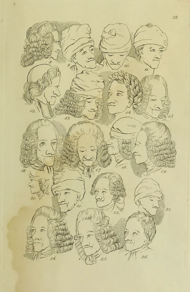 An illustration from La physiognomonie, ou l'art de connaître les hommes d'après les traits de leur physionomie, leurs rupports avec les divers animaux, leur penchans. ... / Lavater., 1841, leaf 369