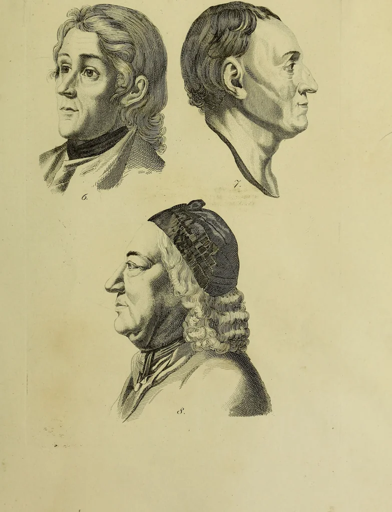 An illustration from La physiognomonie, ou l'art de connaître les hommes d'après les traits de leur physionomie, leurs rupports avec les divers animaux, leur penchans. ... / Lavater., 1841, leaf 381
