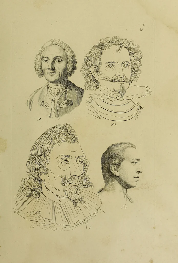 An illustration from La physiognomonie, ou l'art de connaître les hommes d'après les traits de leur physionomie, leurs rupports avec les divers animaux, leur penchans. ... / Lavater., 1841, leaf 383