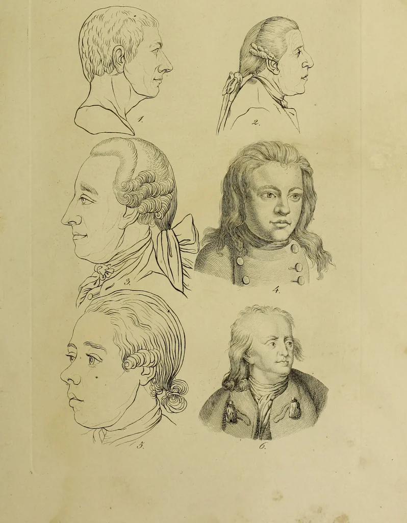 An illustration from La physiognomonie, ou l'art de connaître les hommes d'après les traits de leur physionomie, leurs rupports avec les divers animaux, leur penchans. ... / Lavater., 1841, leaf 385