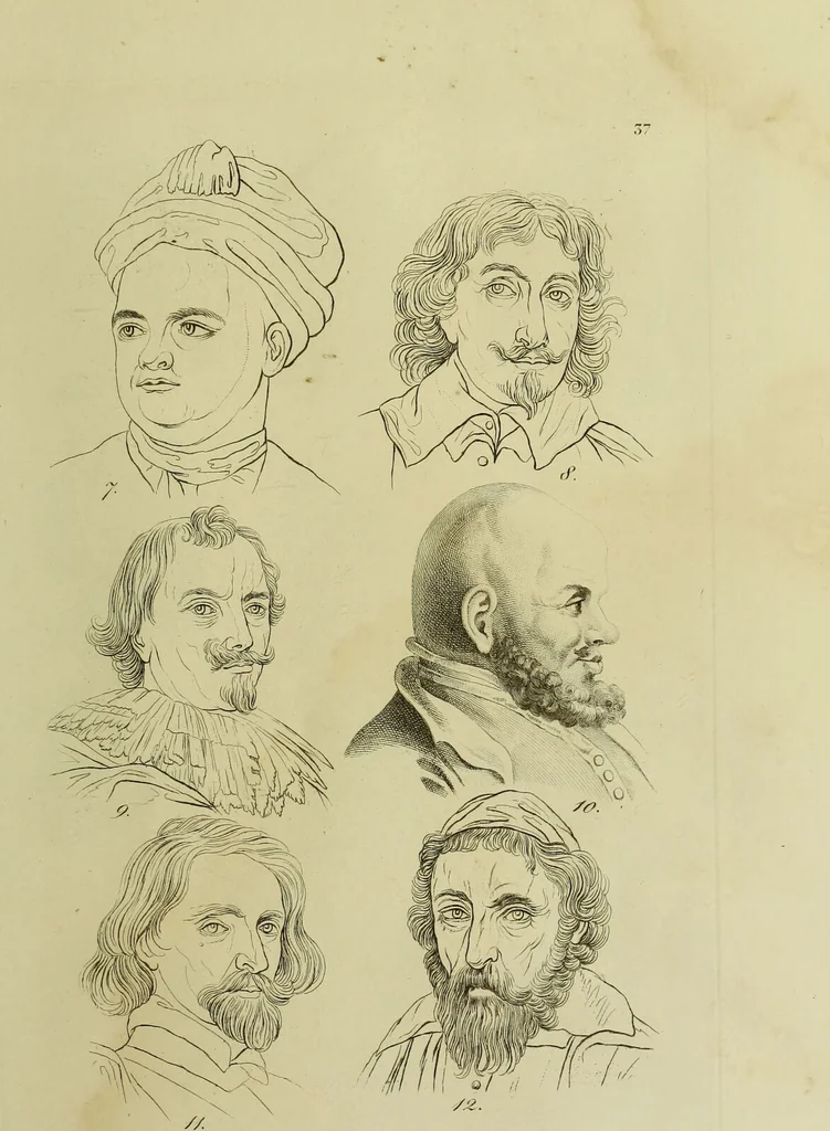 An illustration from La physiognomonie, ou l'art de connaître les hommes d'après les traits de leur physionomie, leurs rupports avec les divers animaux, leur penchans. ... / Lavater., 1841, leaf 387