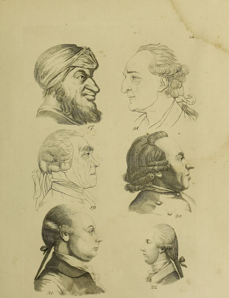 An illustration from La physiognomonie, ou l'art de connaître les hommes d'après les traits de leur physionomie, leurs rupports avec les divers animaux, leur penchans. ... / Lavater., 1841, leaf 421