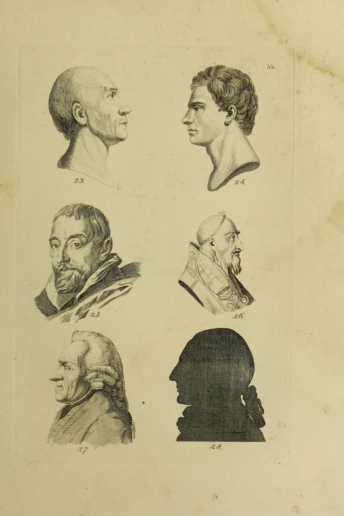 An illustration from La physiognomonie, ou l'art de connaître les hommes d'après les traits de leur physionomie, leurs rupports avec les divers animaux, leur penchans. ... / Lavater., 1841, leaf 423