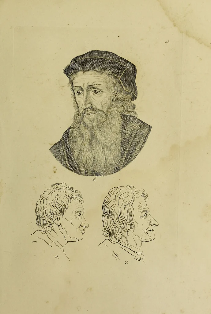 An illustration from La physiognomonie, ou l'art de connaître les hommes d'après les traits de leur physionomie, leurs rupports avec les divers animaux, leur penchans. ... / Lavater., 1841, leaf 429