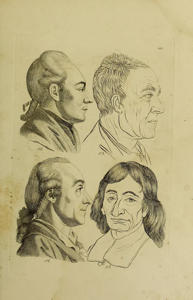 An illustration from La physiognomonie, ou l'art de connaître les hommes d'après les traits de leur physionomie, leurs rupports avec les divers animaux, leur penchans. ... / Lavater., 1841, leaf 433