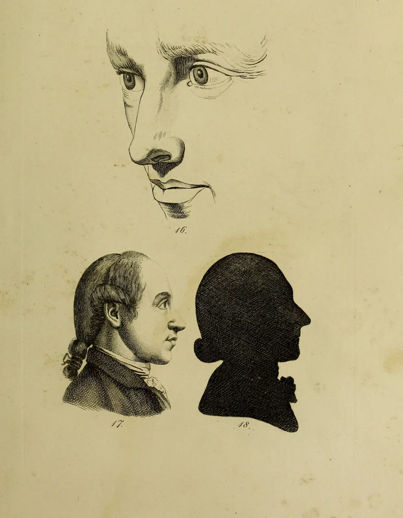 An illustration from La physiognomonie, ou l'art de connaître les hommes d'après les traits de leur physionomie, leurs rupports avec les divers animaux, leur penchans. ... / Lavater., 1841, leaf 435