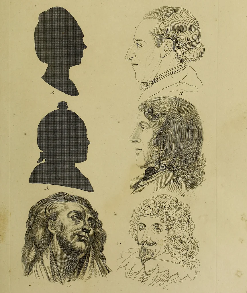 An illustration from La physiognomonie, ou l'art de connaître les hommes d'après les traits de leur physionomie, leurs rupports avec les divers animaux, leur penchans. ... / Lavater., 1841, leaf 439