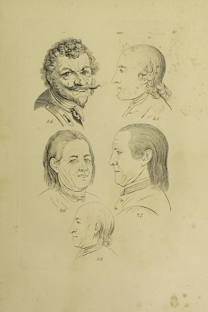 An illustration from La physiognomonie, ou l'art de connaître les hommes d'après les traits de leur physionomie, leurs rupports avec les divers animaux, leur penchans. ... / Lavater., 1841, leaf 447