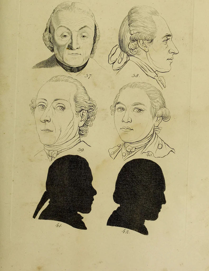 An illustration from La physiognomonie, ou l'art de connaître les hommes d'après les traits de leur physionomie, leurs rupports avec les divers animaux, leur penchans. ... / Lavater., 1841, leaf 453