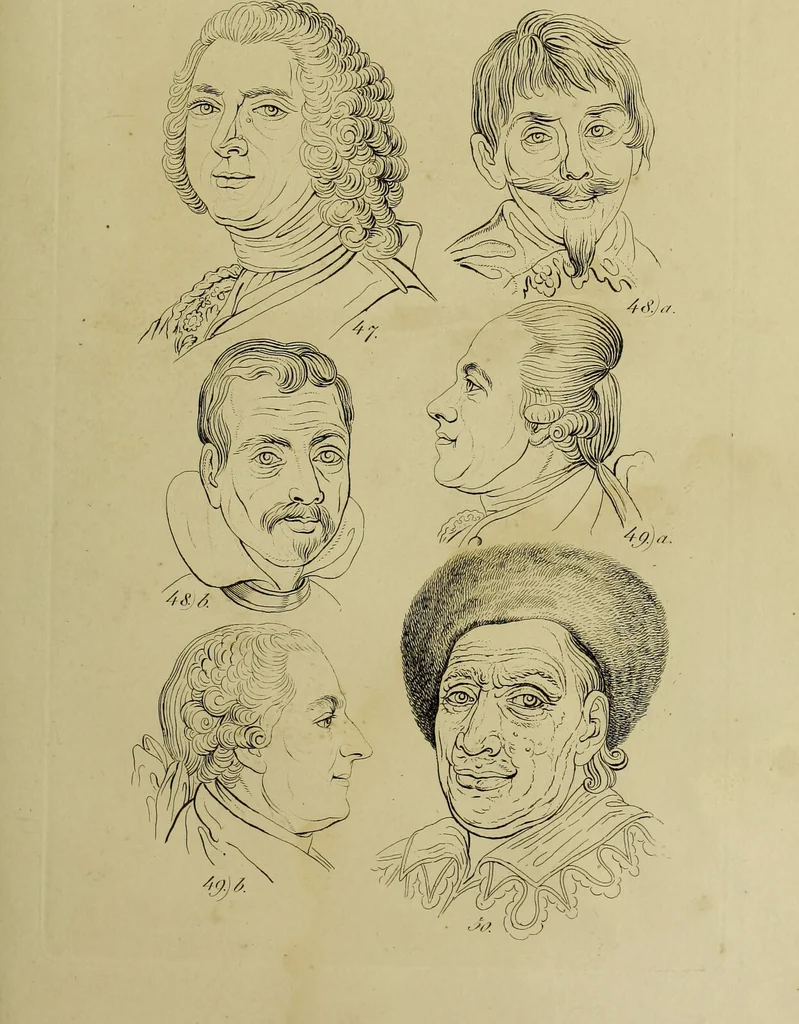 An illustration from La physiognomonie, ou l'art de connaître les hommes d'après les traits de leur physionomie, leurs rupports avec les divers animaux, leur penchans. ... / Lavater., 1841, leaf 457