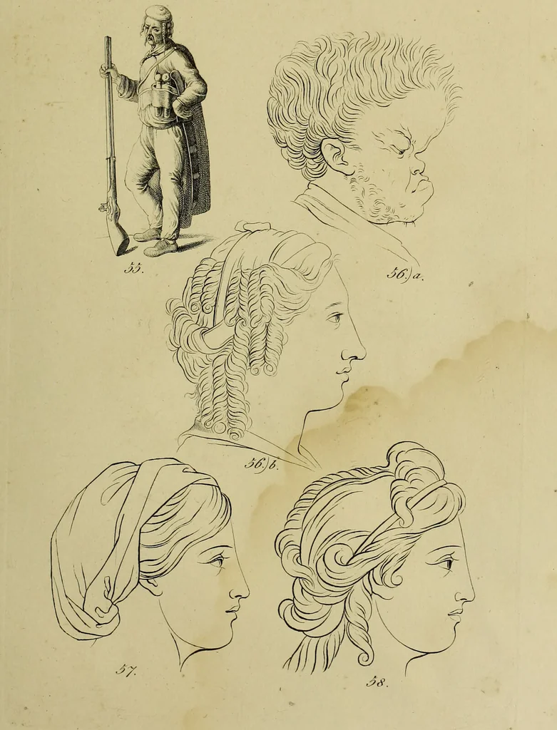 An illustration from La physiognomonie, ou l'art de connaître les hommes d'après les traits de leur physionomie, leurs rupports avec les divers animaux, leur penchans. ... / Lavater., 1841, leaf 461